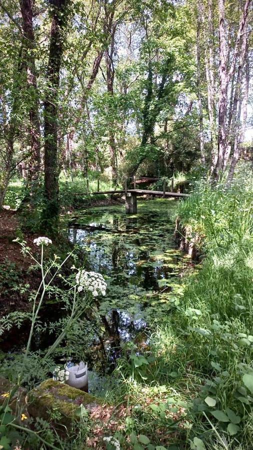 הוילה פלגראס Quinta De Maderne מראה חיצוני תמונה