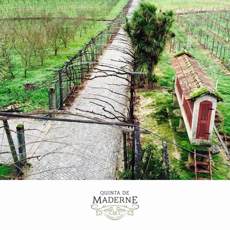 הוילה פלגראס Quinta De Maderne מראה חיצוני תמונה